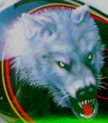 Wolf head close-up