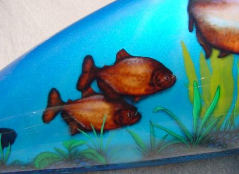Piranha with seaweed