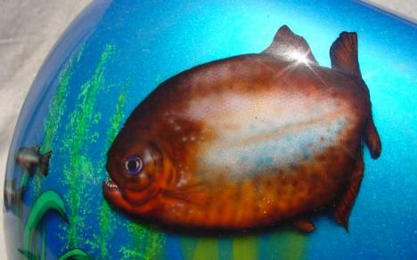 Piranha detail