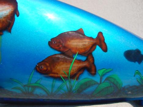 fish and plants