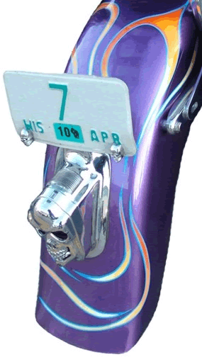 flames rear fender