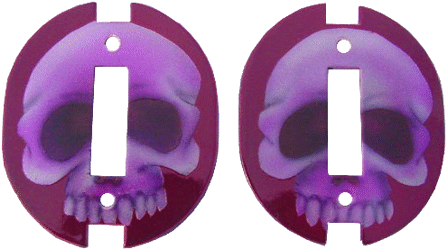 skulls carb flaps