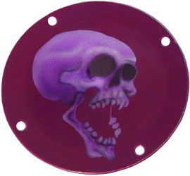 skull air cleaner