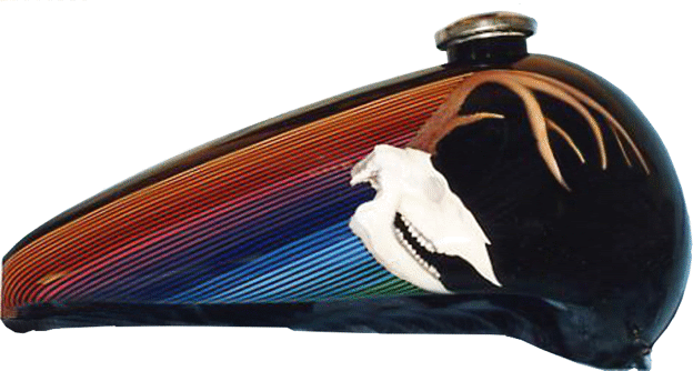 Deer skull with antlers