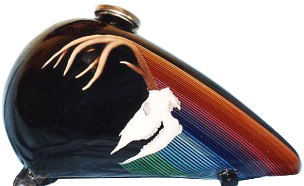 Deer skull with antlers