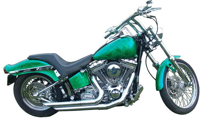 Harley softail