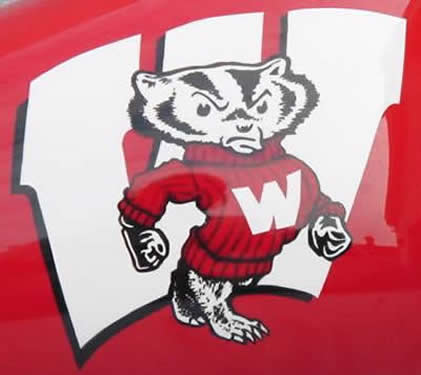 bucky badger