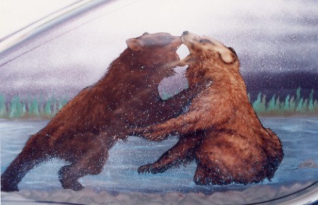 bears fighting
